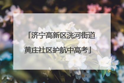 济宁高新区洸河街道黄庄社区护航中高考